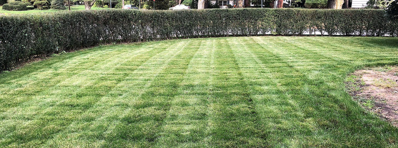 Full-service lawn and property care