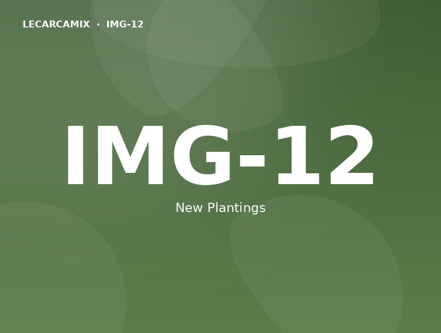 LeCarcamix work — New Plantings