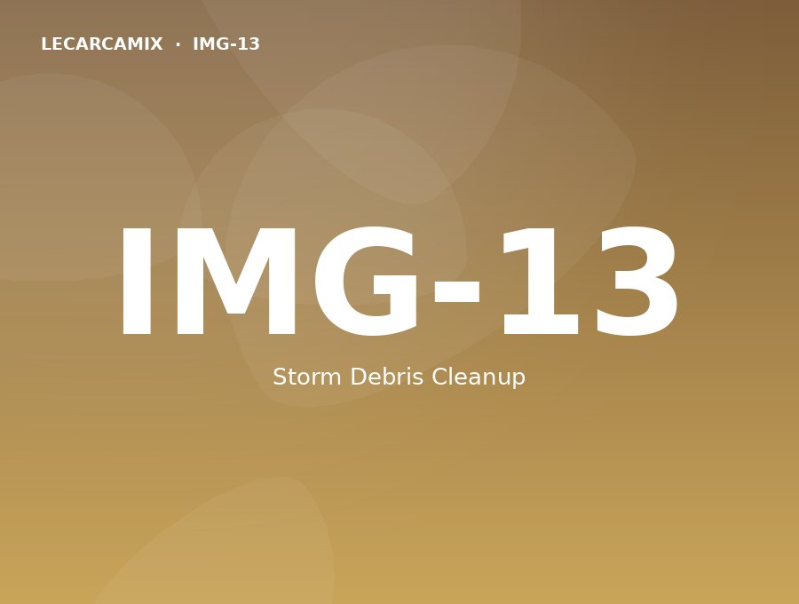 LeCarcamix work — Storm Debris Cleanup