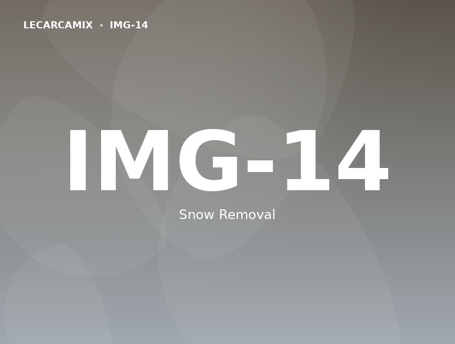 LeCarcamix work — Snow Removal