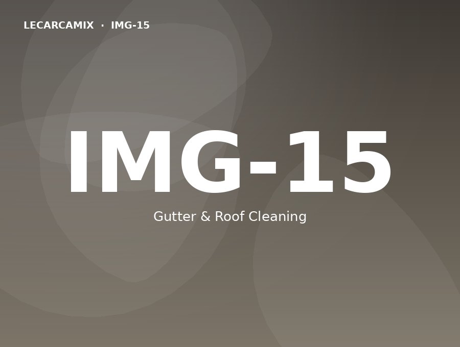 LeCarcamix work — Gutter & Roof Cleaning